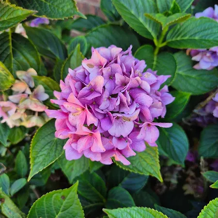 Veluwse Boerderij Wekerom