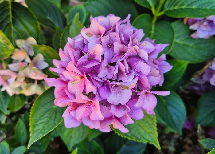 Veluwse Boerderij Wekerom